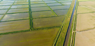 Organic farming insufficiently addressed in draft EU Water Resilience Strategy Water Resilience Strategy
