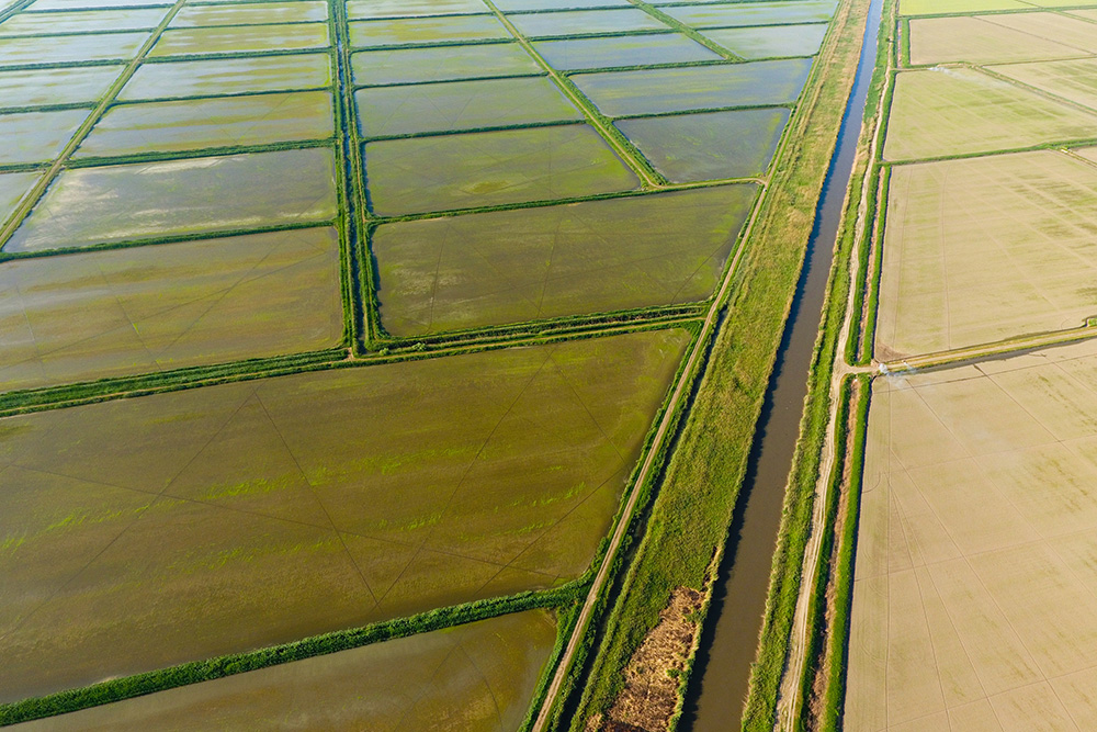 Water Resilience Strategy