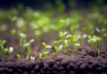 A coalition of conventional and organic farmers calls for an end to patents on seeds Farmers calls for an end to patents on seeds