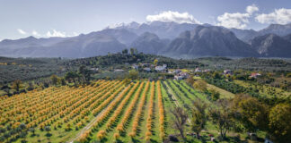 Farmer-Led Research Shows The Realities of Producing More and Better with Less: Place-Based Innovation for the Economy, the Society and the Environment EARA