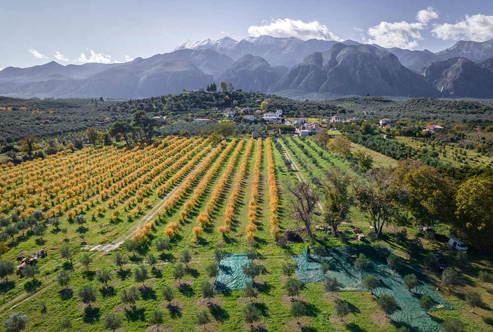 agricultura regenerativa