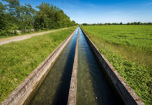 Water Resilience Strategy recognises crucial role of organic but lacks ambition Water Resilience Strategy