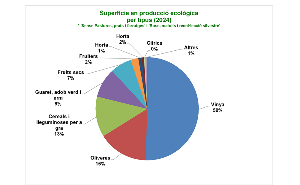 2024_ccpae_superficie_eco