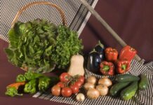 La solució al teu plat: beneficis i reptes de l’alimentació ecològica Alimentación ecológica