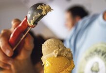 Bodevici: 15 anys de gelats ecològics i saludables