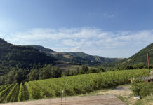 Demeter Italia biodynamic agriculture becomes experience with farm tourism, good food and the productions of the territories demeter italia farms