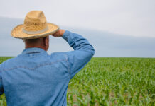 Organics Europe welcomes MEPs’ recognition of organic farming as a key innovative technique for EU agriculture farmer
