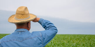 Organics Europe welcomes MEPs’ recognition of organic farming as a key innovative technique for EU agriculture farmer