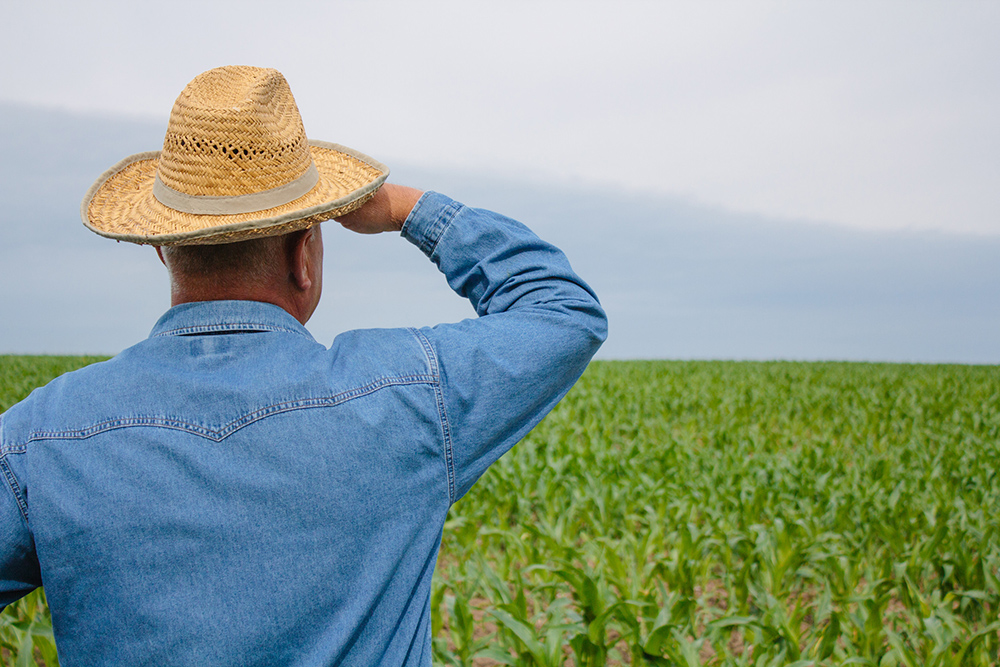 farmer
