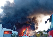 Un incendi abrasa la nau industrial de Vegetalia a Castellcir (Barcelona) incendio vegetalia