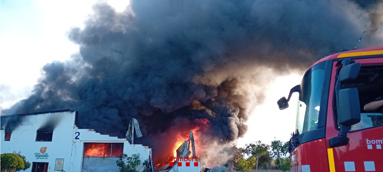 incendio vegetalia