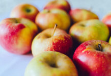 «The Time of Organic Apples»: ISMEA presents the sector’s trends and future prospects organic apples