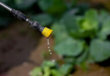 Beyond targets, driving pesticides reduction through market-based instruments pesticides