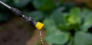 Beyond targets, driving pesticides reduction through market-based instruments pesticides