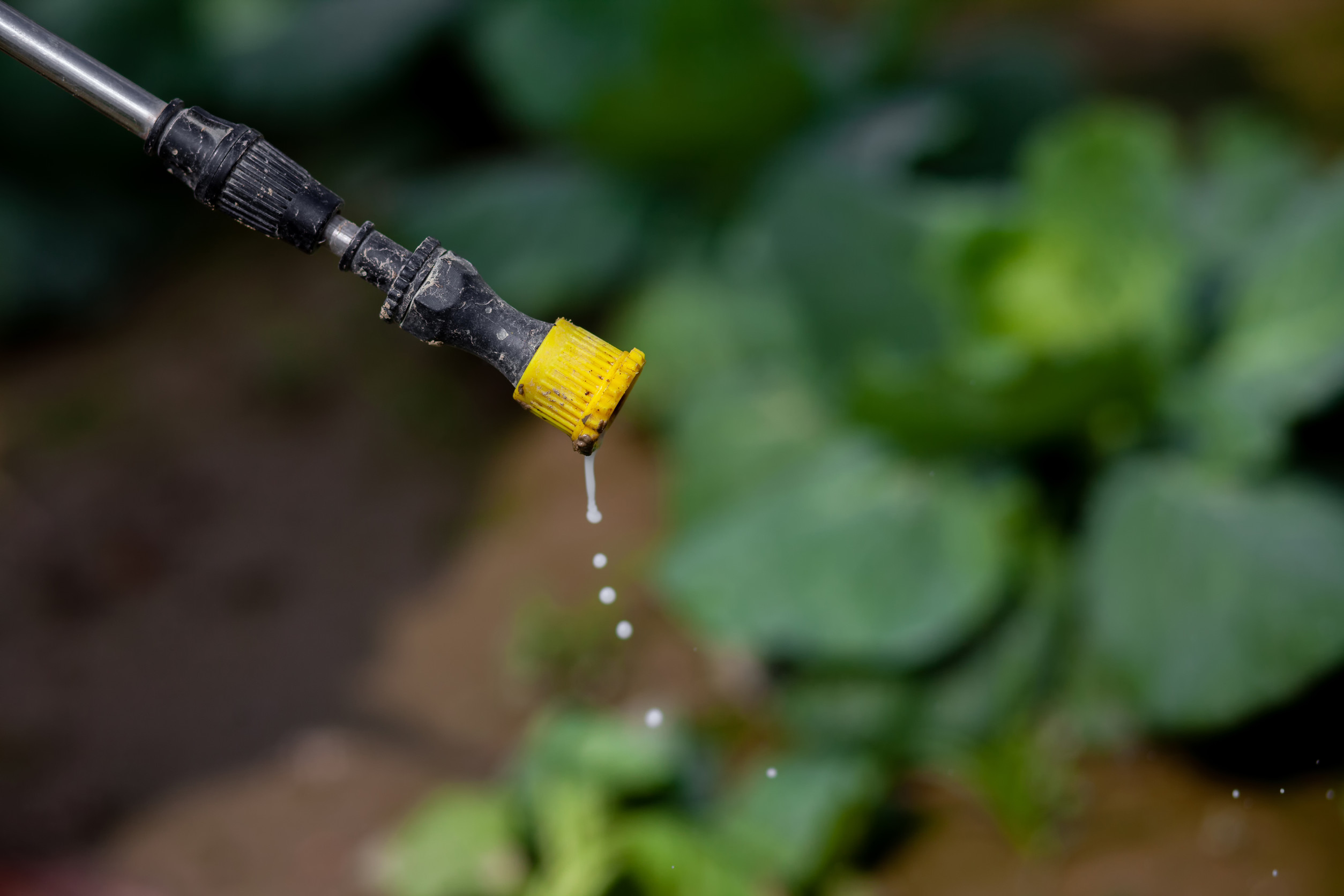 pesticides