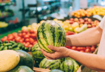 Patent on bush-type watermelon plants is upheld watermelon