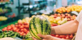 Patent on bush-type watermelon plants is upheld watermelon