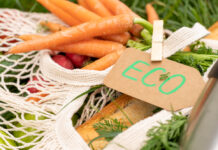 Productos ecológicos: 5 motivos para integrarlos hoy mismo en tu dieta Productos ecológicos
