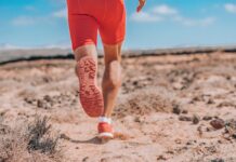 La microbiota y el deporte: ¡una alianza que marca la diferencia! microbiota y el deporte