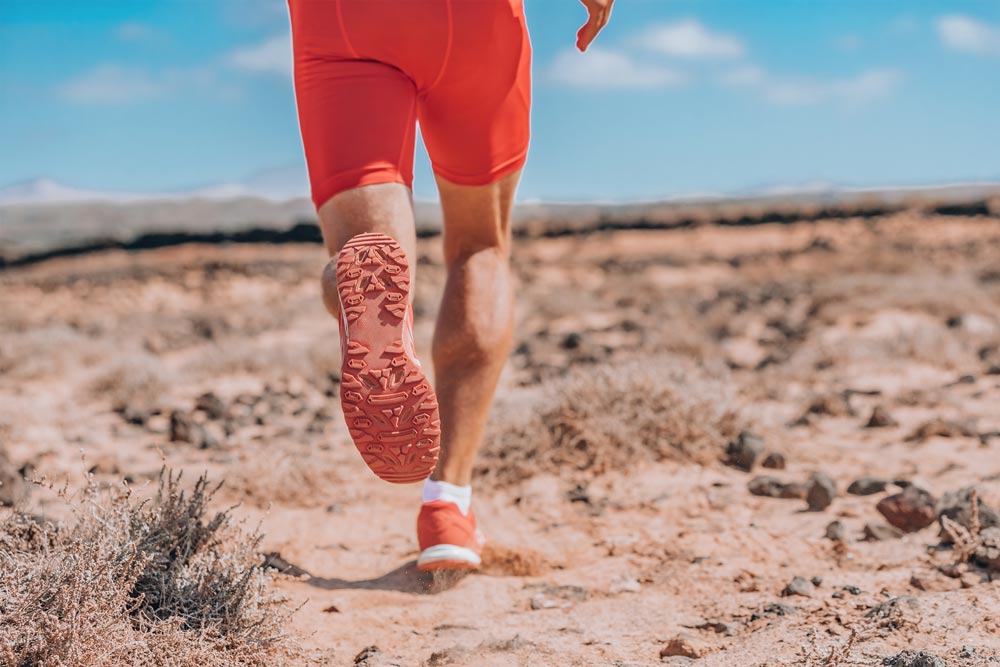microbiota y el deporte