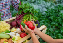 Alimentación ecológica: guía completa para vivir mejor alimentación ecológica guía completa