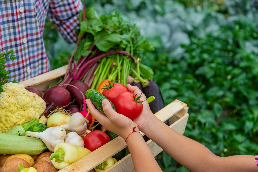 Hortalizas certificadas de producción ecológica