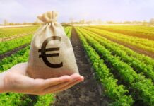Fairness from Barn to Brussels: Organic movement’s push for fair prices and what the EU is up to Equidad