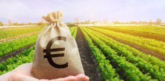 Fairness from Barn to Brussels: Organic movement’s push for fair prices and what the EU is up to Equidad