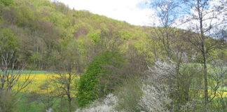 Biodiversity can be protected through sustainable agriculture and suitable habitats Biodiversity can be protected