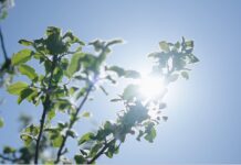 IFOAM Organics Europe launches #OrganicDelivers campaign #OrganicDelivers campaign