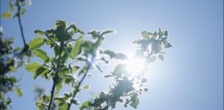IFOAM Organics Europe launches #OrganicDelivers campaign #OrganicDelivers campaign