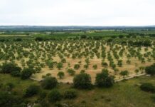 IFOAM Organics Europe launches second #OrganicDelivers video: Spotlight on biodistricts