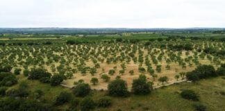 IFOAM Organics Europe launches second #OrganicDelivers video: Spotlight on biodistricts