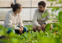 La Asociación de Variedades Locales de Mallorca: custodiando la biodiversidad agrícola y la cultura campesina Associació de Varietats Locals de Mallorca (AVL)