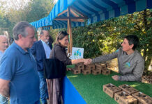 Nuevo Mercado del Paraíso Natural de producción ecológica: consolidar el éxito con casi 30 puestos en Posada de Llanera Mercado-paraiso-natural