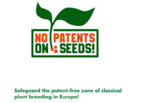 No Patents on Seeds!: ¡protejamos la zona libre de patentes para el cultivo clásico de plantas en Europa! report no patents on seeds