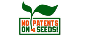 No Patents on Seeds!: Safeguard the patent-free zone for classical plant breeding in Europe! report no patents on seeds