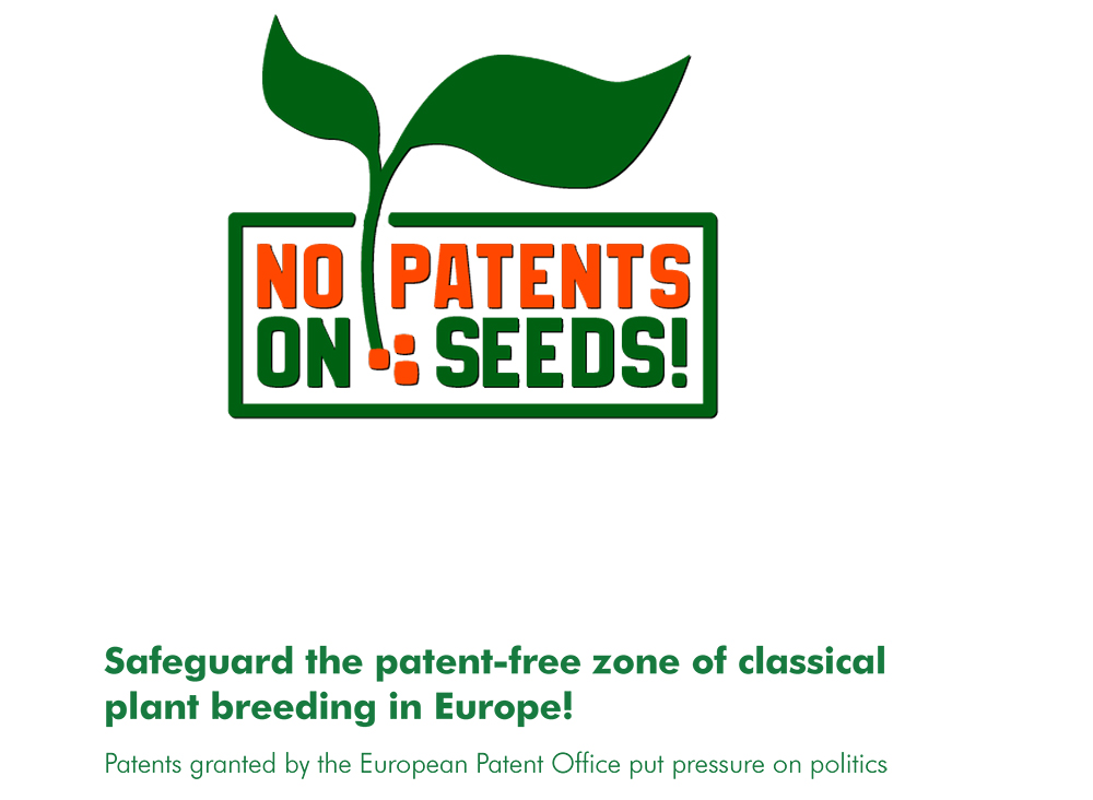 report no patents on seeds