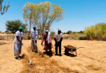 SustainSahel presents key innovations for a sustainable African agriculture SustainSahel proejct