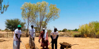 SustainSahel presents key innovations for a sustainable African agriculture SustainSahel proejct