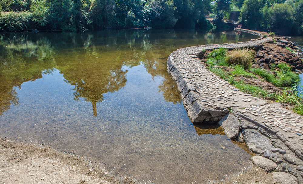 glifosato en aguas superficiales