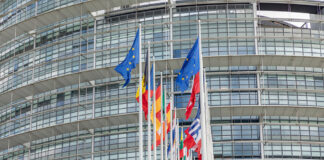 Revision of the Organic Regulation: an opportunity to fix what’s not working EU Organic Regulation