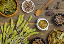 Fitoterapia: plantas medicinales que transforman tu bienestar Fitoterapia_ plantas medicinales que transforman tu bienestar