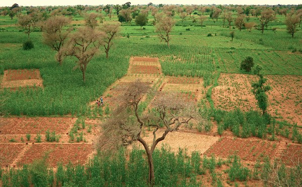 SustainSahel project