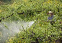 Complaint to the European Ombudsman: EU Commission deceives citizens with flawed figures on pesticide reduction Complaint to the European Ombudsman