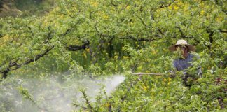 Complaint to the European Ombudsman: EU Commission deceives citizens with flawed figures on pesticide reduction Complaint to the European Ombudsman