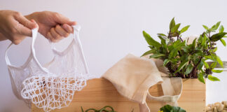 The organic market in Italy: a decade of growth and transformation el mercado ecológico de Italia crece