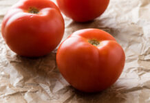 European Patent Office: Scandalous patent granted on tomatoes tomatoes