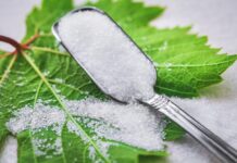 Xilitol, el sucre de bedoll El Xilitol es el azúcar de abedul