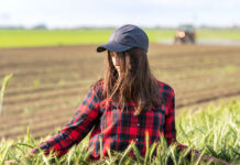 Organic youth movement criticises lack of concrete tools and recognition of organic farming to boost generational renewal Organic youth movement